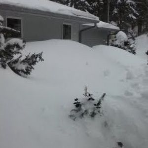 Meet your Posher, Laney